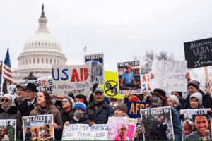 Protesters in Washington, DC with the Capitol building in the background