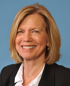 Board Director Image
