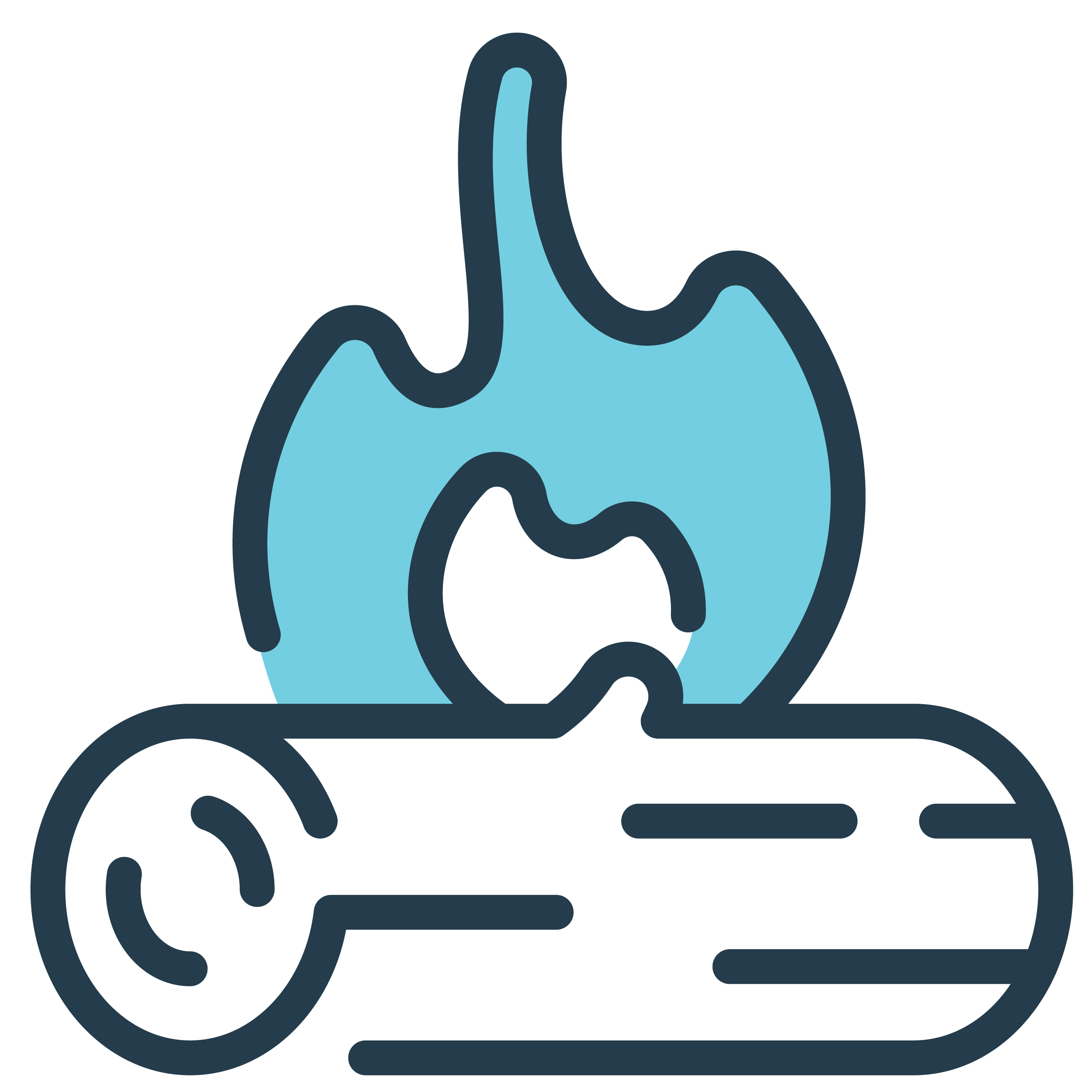 Cooking fuel icon